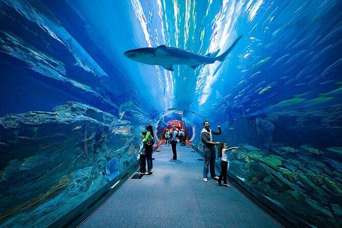 Entrance to Dubai Aquarium and Underwater Zoo - The Itinerary Breakdown: What You Can Expect