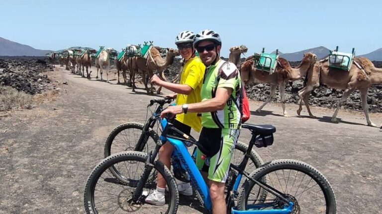 Epic E-Bike Tour: From North to South, Discover Lanzarote Like Never Before - The Sum Up