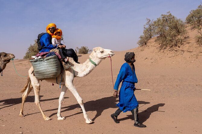 Erg Chigaga Desert Tour from Mhamid by 4x4 Morocco Sahara dunes - Why This Tour Offers Great Value