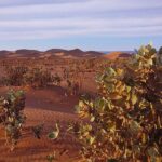 Erg Chigaga Overnight stay in the heart of the great dunes. - Complete Guide to the Erg Chigaga Overnight Desert Tour