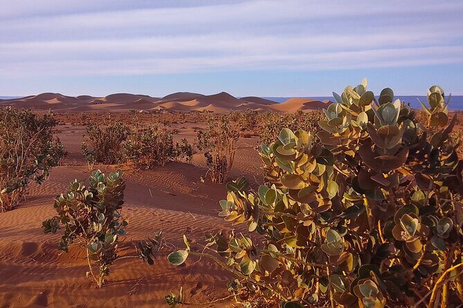 Erg Chigaga Overnight stay in the heart of the great dunes. - Complete Guide to the Erg Chigaga Overnight Desert Tour