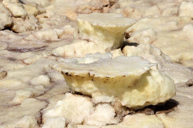 Ertaale and Dallol 6 Days Tour Package - Who Should Consider This Tour?