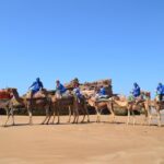 Essaouira: 1/2 Day Camel ride with meal. - Final Thoughts
