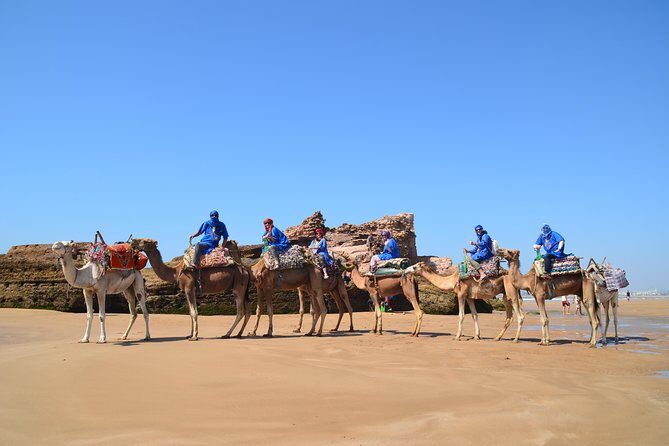 Essaouira: 1/2 Day Camel ride with meal. - Final Thoughts
