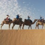 Essaouira 1 hour discovery ride on the back of a camel - Frequently Asked Questions