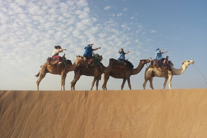 Essaouira 1 hour discovery ride on the back of a camel - Frequently Asked Questions