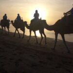 Essaouira: 1 Hour Dromedary + 2 Hours Quad - Practical Details and What to Keep in Mind
