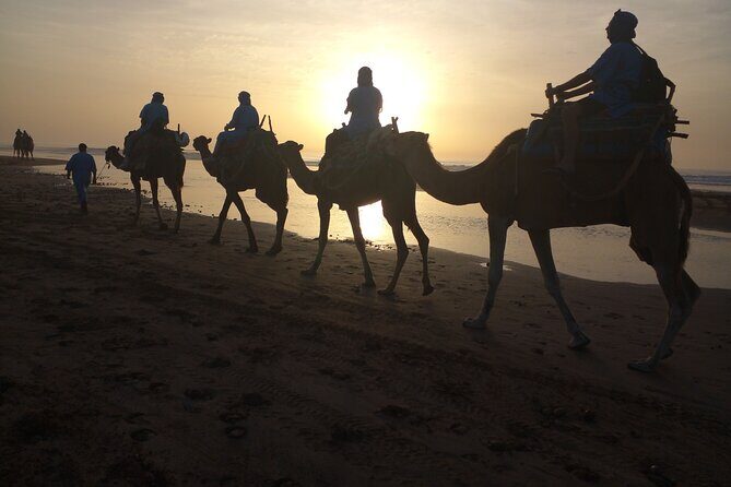 Essaouira: 1 Hour Dromedary + 2 Hours Quad - Practical Details and What to Keep in Mind