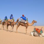 Essaouira 2-Hour Camel Adventure Ride - Authenticity & Review Insights