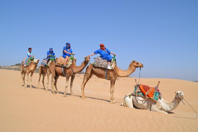 Essaouira 2-Hour Camel Adventure Ride - Authenticity & Review Insights