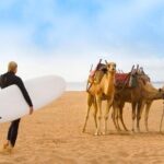Essaouira: 2H/ Quad + 2H/ Dromedary free transfer - Meeting Points and Logistics