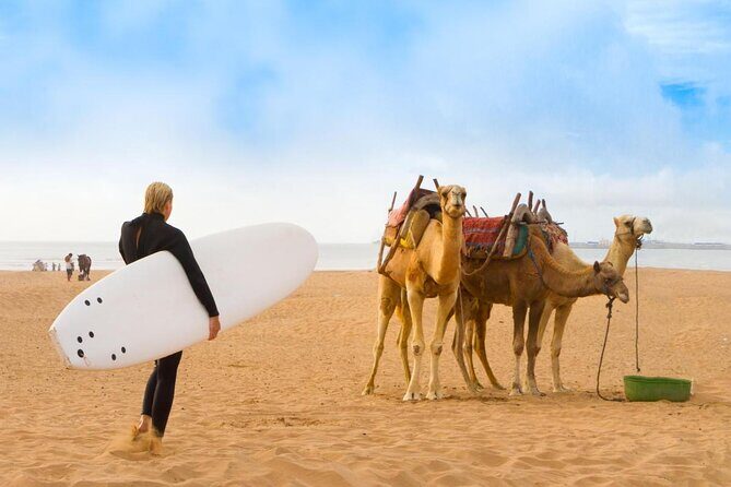 Essaouira: 2H/ Quad + 2H/ Dromedary free transfer - Meeting Points and Logistics