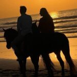 Essaouira Beach Horse Rides &Treks for All Levels - Authentic Reviews: What You’ll Love