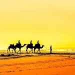 Essaouira Coastal Discovery Day Trip From Marrakech - Pickup and Transportation