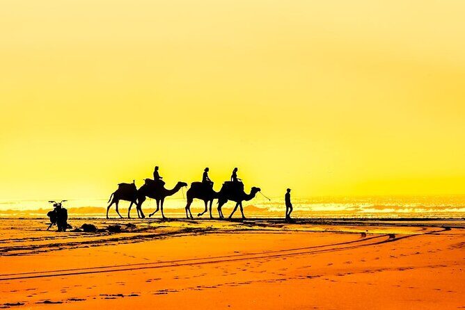 Essaouira Coastal Discovery Day Trip From Marrakech - Pickup and Transportation