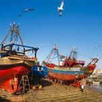 Essaouira Day Trip from Marrakech - Authentic Experiences and Insights from Reviewers