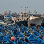 Essaouira Day Trip from Marrakech - Who Should Consider This Tour?