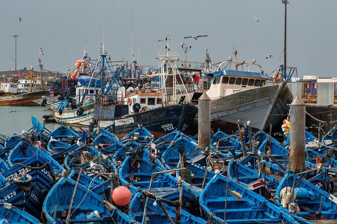 Essaouira Day Trip from Marrakech - Who Should Consider This Tour?