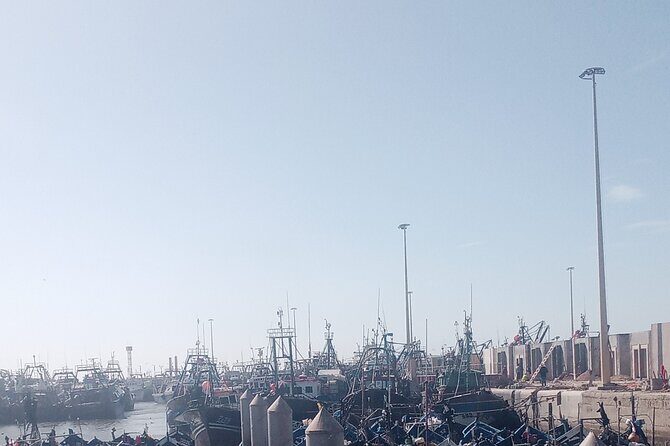 Essaouira day trip shared group - The Group Experience & Comfort