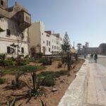 Essaouira Excursion From Marrakech - An In-Depth Look at the Tour Experience