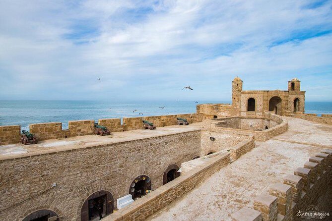 essaouira excursion from Marrakech medina city walls & beachs - Lunch and Free Time: Savoring Fresh Fish and Local Flavors