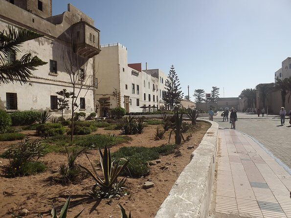 Essaouira Excursion From Marrakech - An In-Depth Look at the Tour Experience