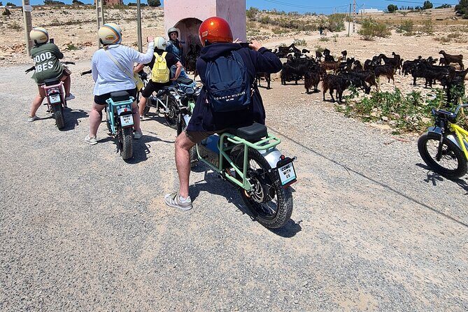 Essaouira Express Circuit by Electric Motorcycle - What It’s Like to Ride and Explore