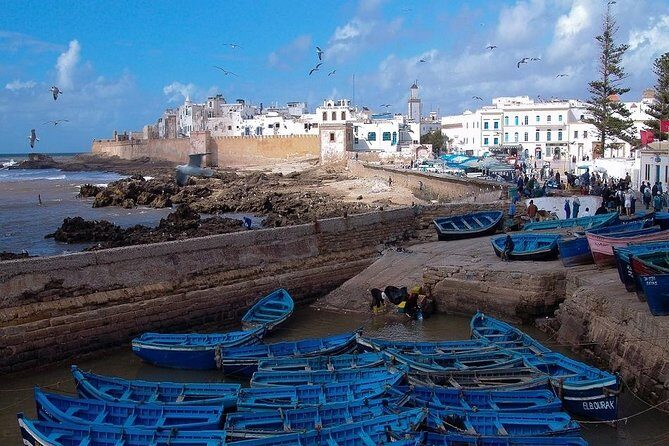 Essaouira Full-Day Excursion from Marrakech - Real Traveler Insights
