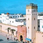 Essaouira Guided Day Trip from Agadir - Analyzing the Value