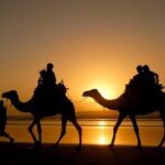 Essaouira Private Full Day Trip From Marrakech - Beach Time and Free Exploration