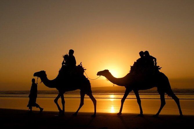 Essaouira Private Full Day Trip From Marrakech - Beach Time and Free Exploration