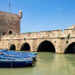 Essaouira: Private or Small-Group Day Trip from Marrakech - Who Is This Tour Best For?