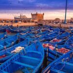 Essaouira Tour from Marrakech shared small-group - Practical Tips for Making the Most of Your Day