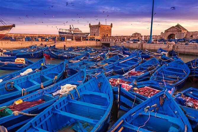 Essaouira Tour from Marrakech shared small-group - Practical Tips for Making the Most of Your Day
