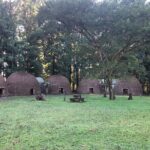 Eswatini Cultural Tour - Practical Details and Tips