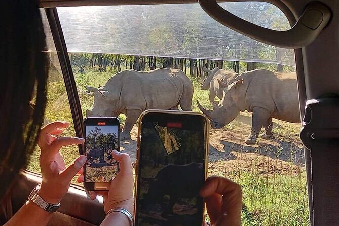Eswatini (Swaziland) 1-day Country Tour from Maputo - What Makes This Tour Stand Out?