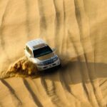 Evening Desert Safari Abu Dhabi with BBQ Dinner & Shows - Authentic Insights from Reviewers