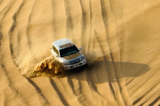 Evening Desert Safari Abu Dhabi with BBQ Dinner & Shows - Authentic Insights from Reviewers