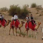 Evening Desert Safari Abu Dhabi with Dinner - The Value of the Tour
