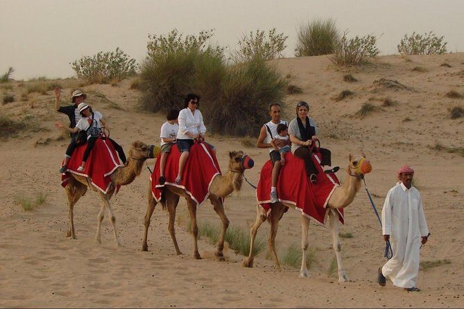 Evening Desert Safari Abu Dhabi with Dinner - The Value of the Tour