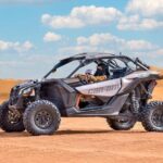 Evening Desert Safari & Adventure Dune Buggy - Authenticity & Guides: The Heart of the Experience