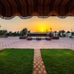 Evening Desert Safari & camel ride  Without Camp Experience - The Itinerary in Detail
