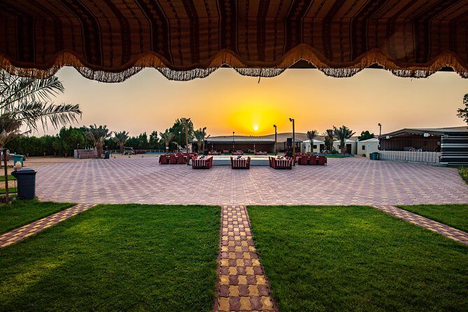 Evening Desert Safari & camel ride  Without Camp Experience - The Itinerary in Detail