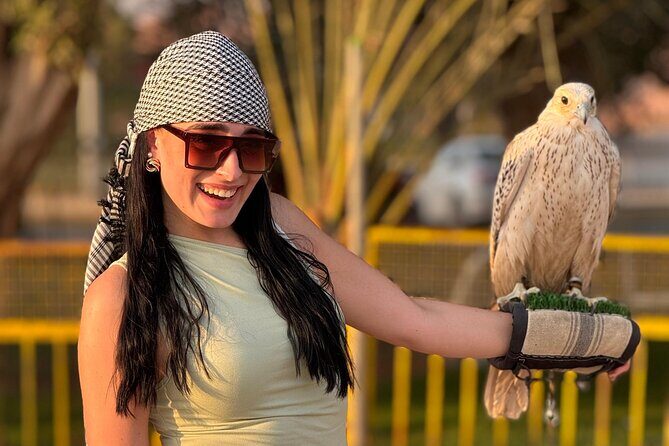 Evening Desert Safari Dubai BBQ Dinner Dune Bashing Dune Buggy - Detailed Breakdown of the Tour Experience