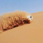 Evening Desert Safari Dubai with BBQ Dinner & Shows - The Itinerary Breakdown: What to Expect