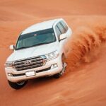 Evening Desert Safari in Dubai - Authentic Feedback from Travelers