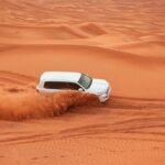 Evening Desert Safari Tour with Sand Surfing, BBQ Dinner (Exclusive Car) - What’s Included and Whats Not?