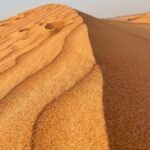 Evening Desert Safari Tours - Who Should Consider This Tour?