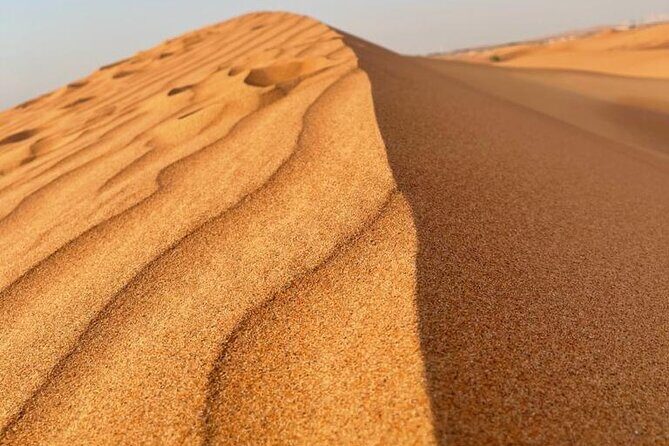 Evening Desert Safari Tours - Who Should Consider This Tour?