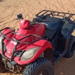 Evening Desert Safari with BBQ Buffet Camel Ride and Arabic Shows - Practical Tips and Considerations